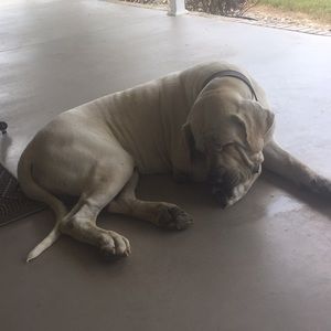 Meet your Posher, Clayton